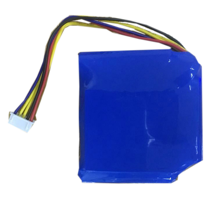 Erstatte Instrumentbatteri Tosight  til DW-6000 